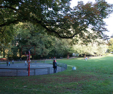 Ferber Park Basketball